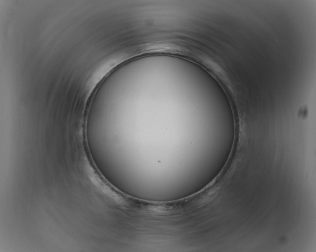 X0000111501330200907281242