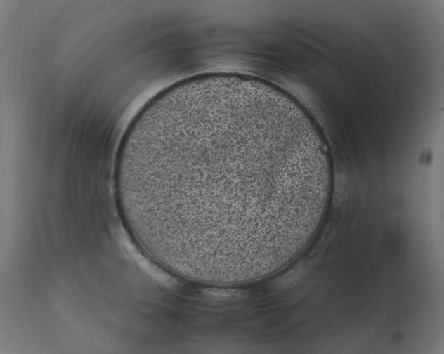 X0000111501331200907281242