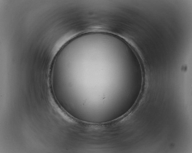 X0000111501333200907281242