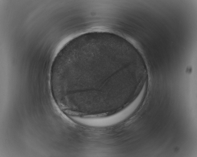 X0000111501334200907281242