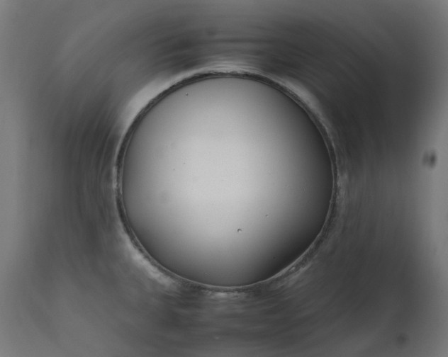 X0000111501335200907281242