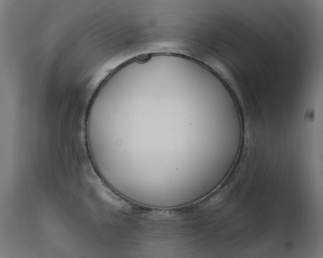 X0000111501336200907281242