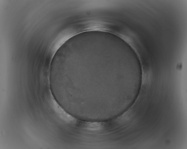 X0000111501338200907281242