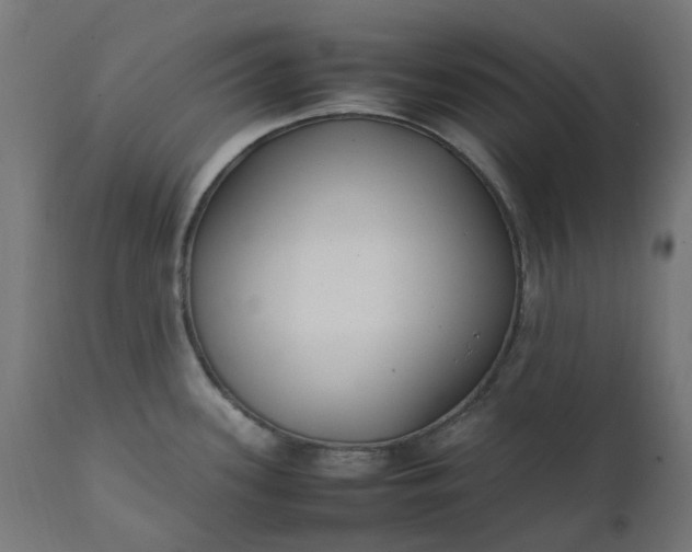 X0000111501339200907281242