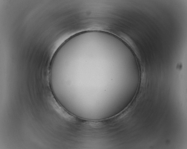 X0000111501340200907281242