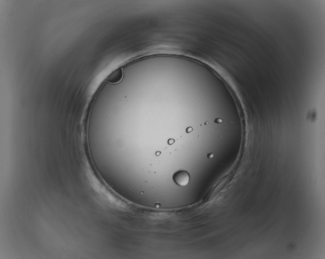 X0000111501341200907281242