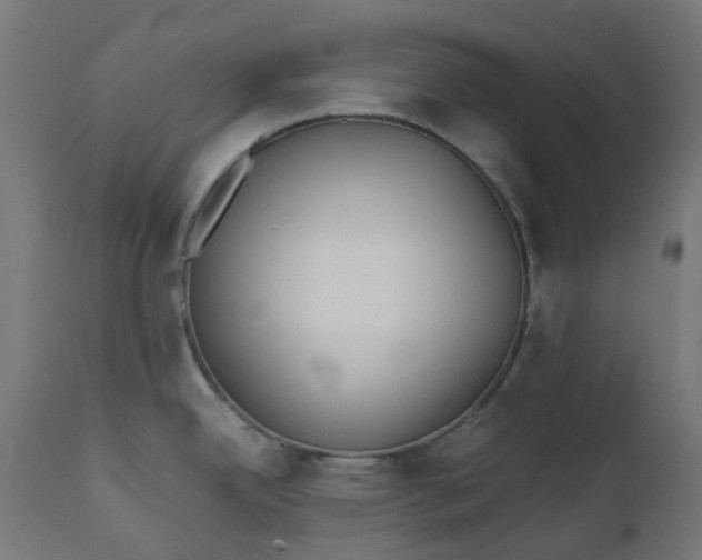 X0000111501342200907281242