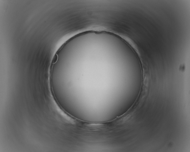 X0000111501343200907281242