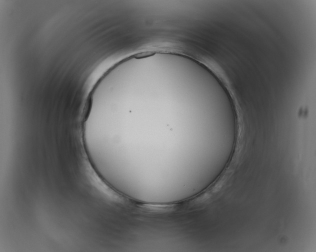 X0000111501344200907281242