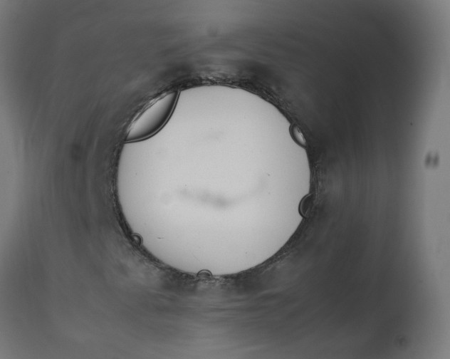 X0000111501345200907281242