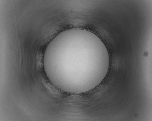 X0000111501346200907281242