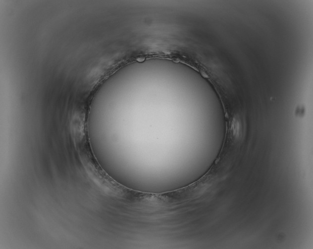 X0000111501348200907281242