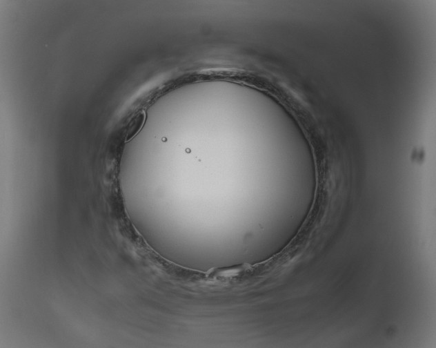 X0000111501351200907281241