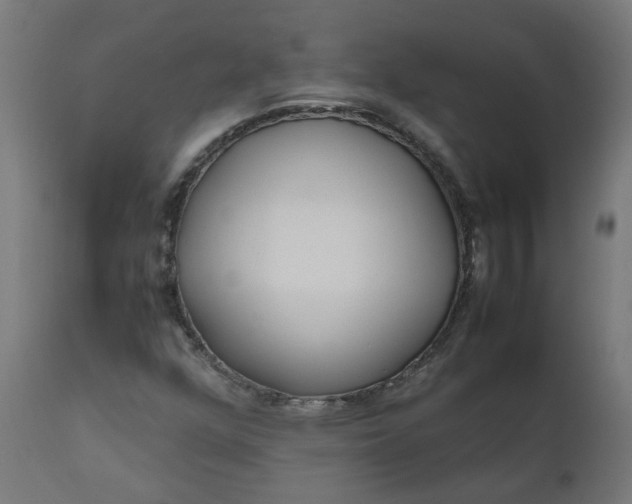 X0000111501352200907281241