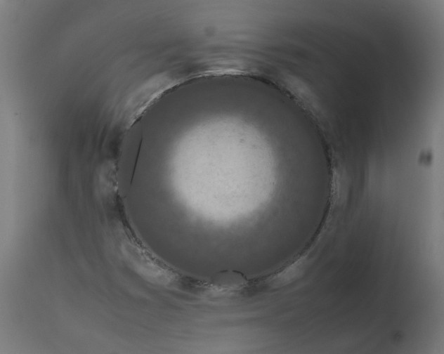 X0000111501353200907281241