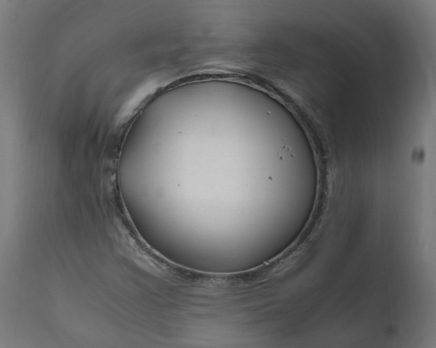 X0000111501355200907281241