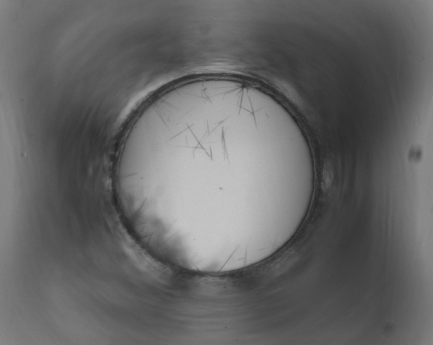 X0000111501356200907281241