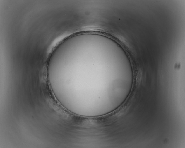 X0000111501358200907281241