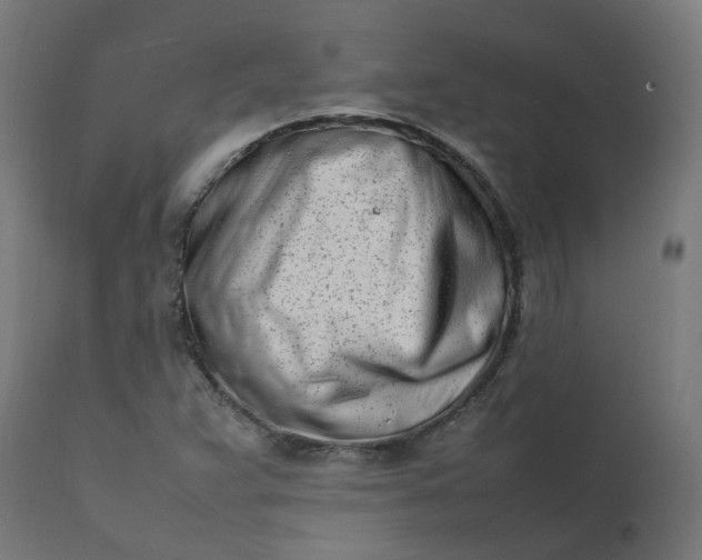 X0000111501359200907281241