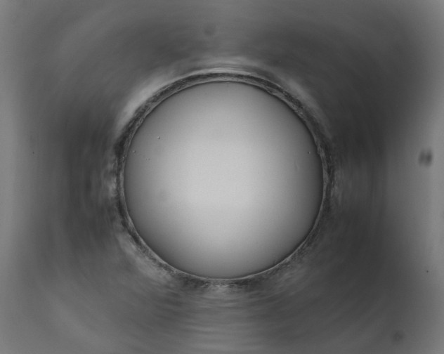 X0000111501360200907281241