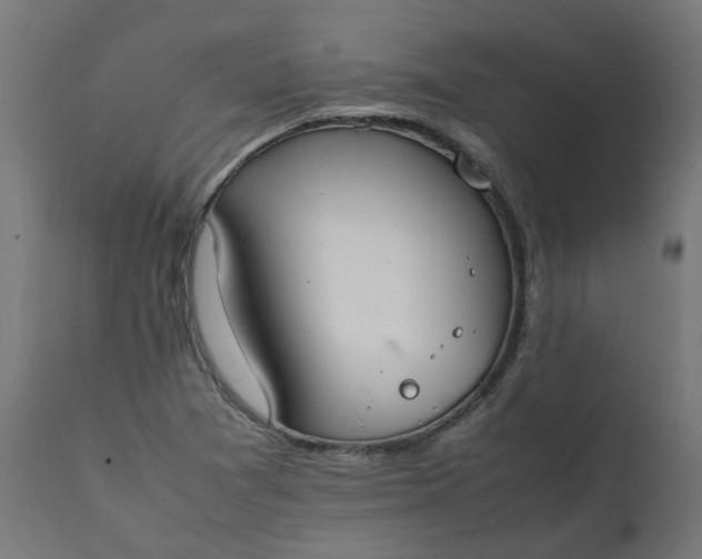 X0000111501361200907281241