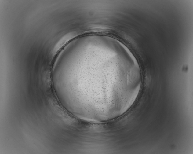 X0000111501362200907281241