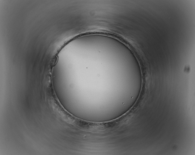 X0000111501363200907281241