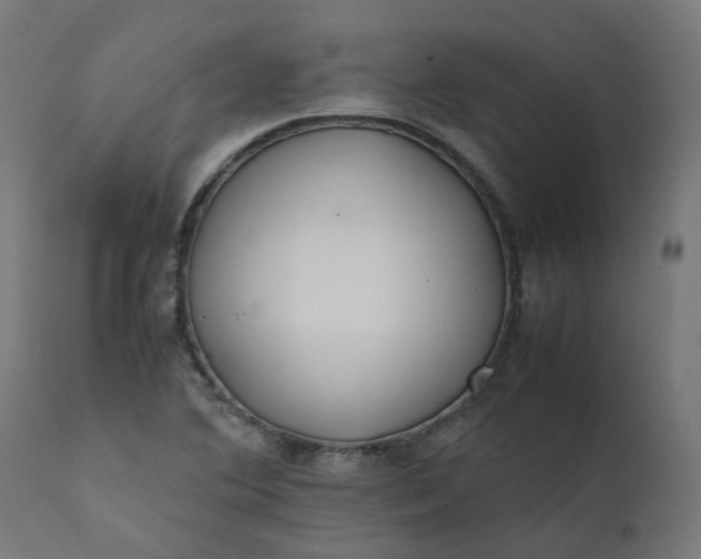 X0000111501364200907281241