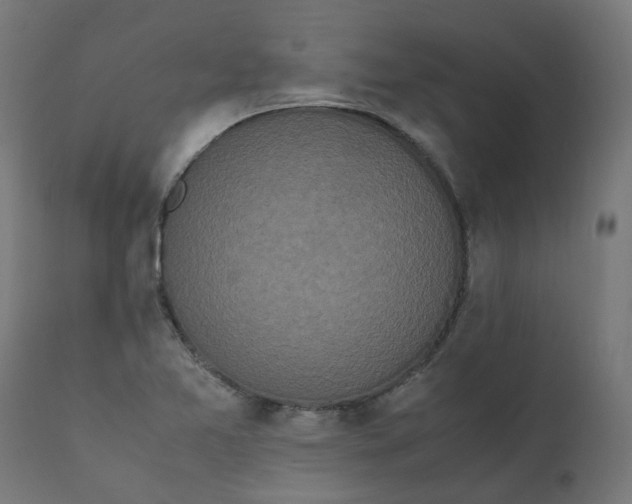 X0000111501365200907281241