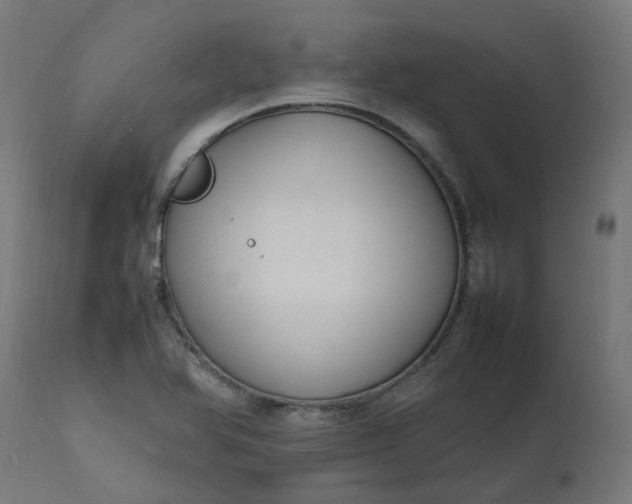 X0000111501366200907281241