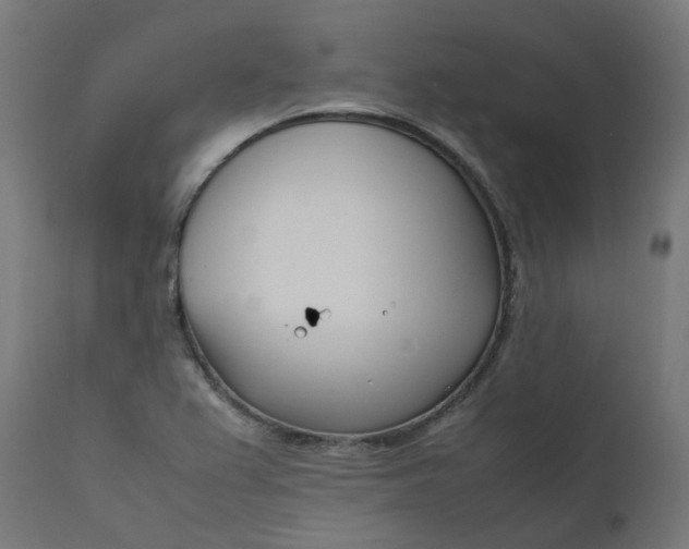 X0000111501367200907281241