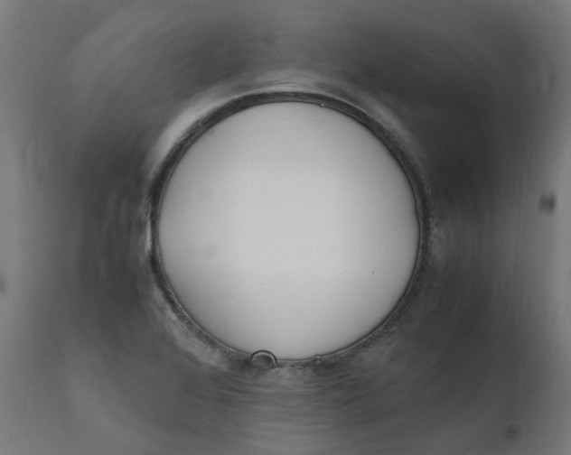 X0000111501368200907281241