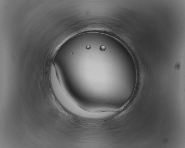 X0000111501369200907281241