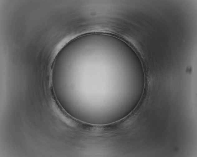 X0000111501371200907281241