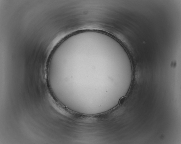 X0000111501372200907281241