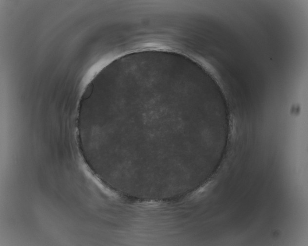 X0000111501373200907281241