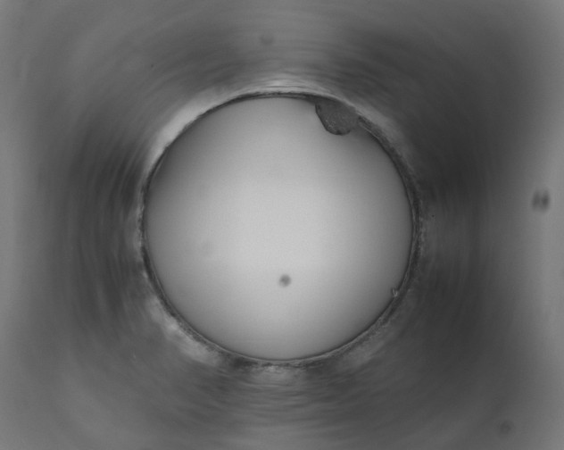 X0000111501374200907281241