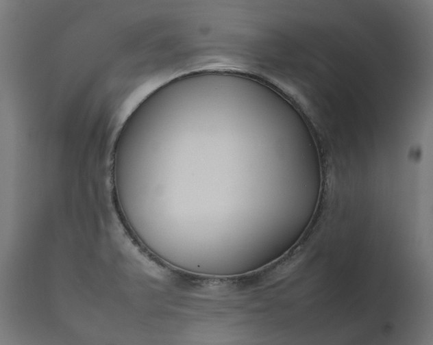 X0000111501375200907281241