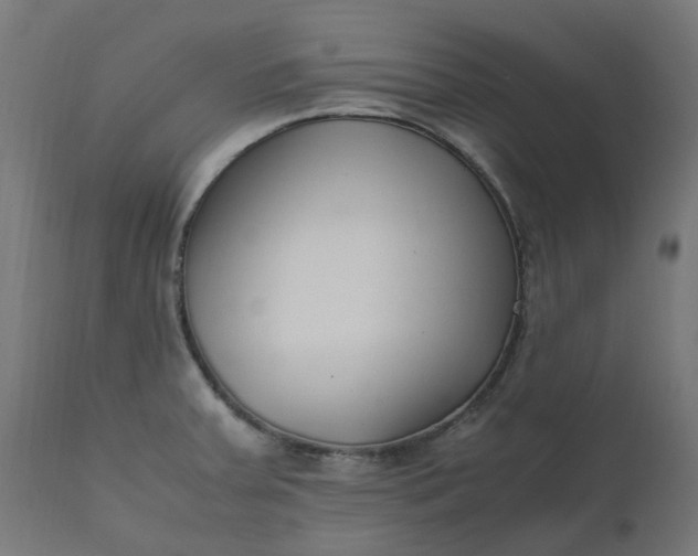 X0000111501379200907281241