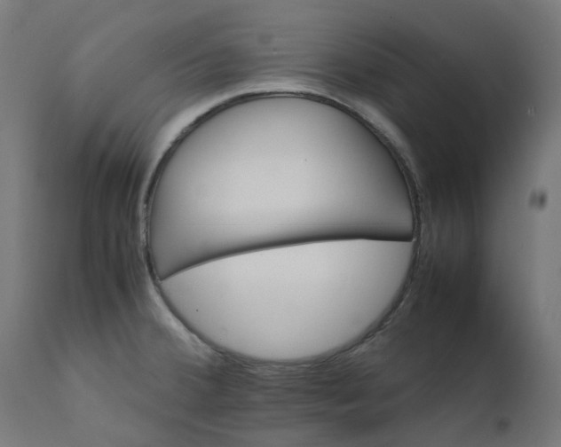 X0000111501380200907281241