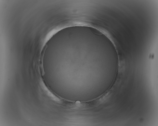 X0000111501381200907281241