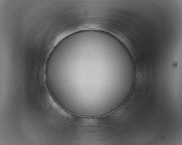 X0000111501382200907281241