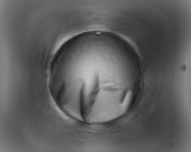 X0000111501383200907281241