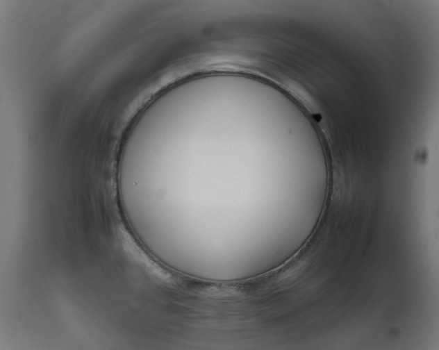 X0000111501384200907281241