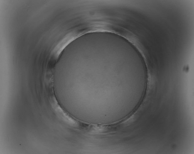 X0000111501385200907281241