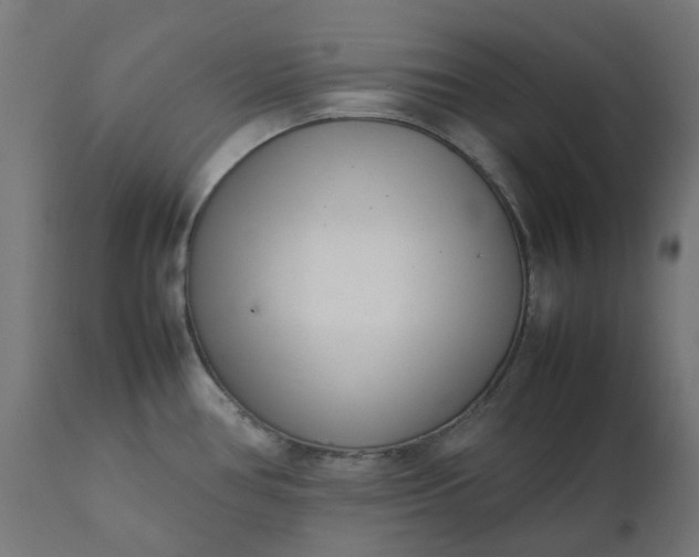 X0000111501386200907281241