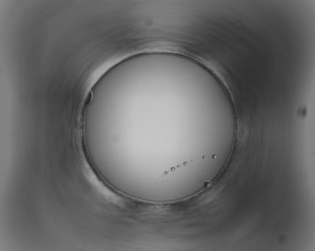 X0000111501387200907281241