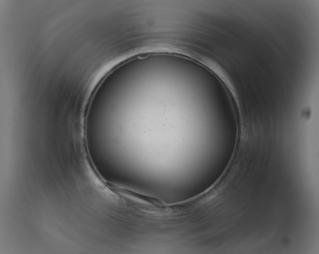 X0000111501388200907281241