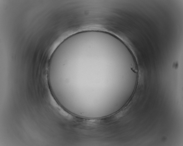 X0000111501390200907281241