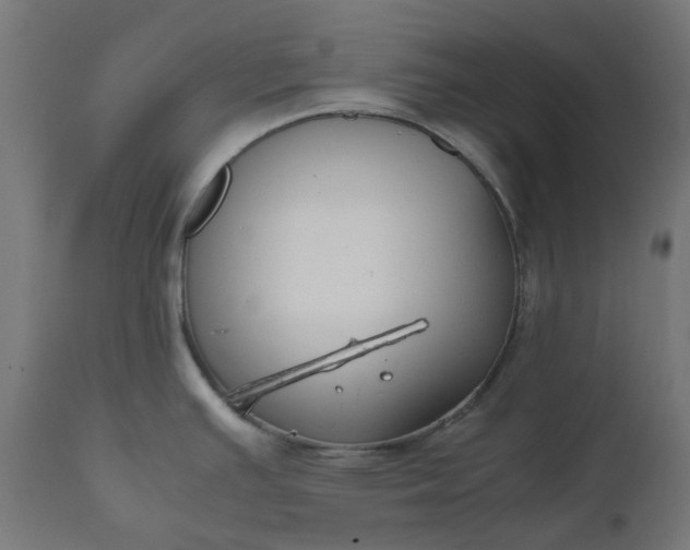 X0000111501391200907281241